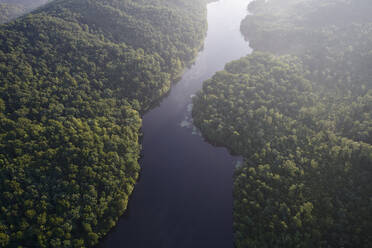 Luftaufnahme eines Flusses, der in der Morgendämmerung durch den Wald der Appalachen fließt - BCDF00550