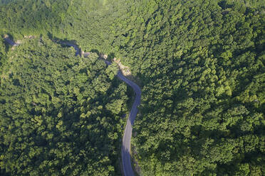 Luftaufnahme eines Highways, der sich im Sommer durch den grünen Wald der Appalachen zieht - BCDF00552