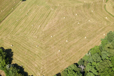 Luftaufnahme von Heuballen, die auf einem Sommerfeld trocknen - BCDF00560