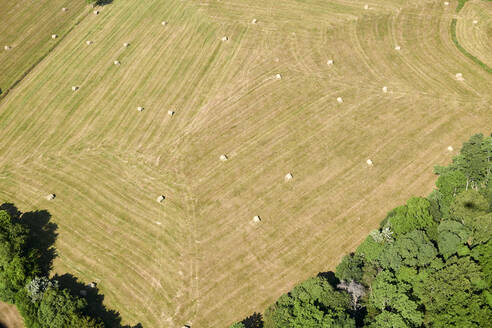 Aerial view of hay bales drying in summer field - BCDF00560