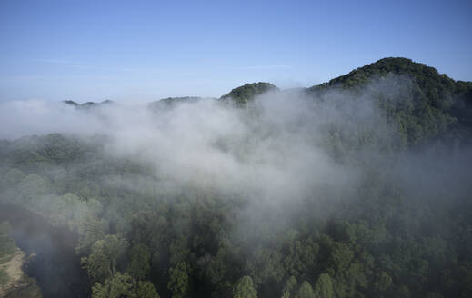 Luftaufnahme von Nebel, der über bewaldeten Bergen schwebt - BCDF00562