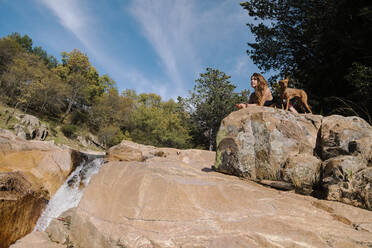 Wanderer sitzt mit Hund auf einem Felsen am Wasserfall im Wald bei La Pedriza, Madrid, Spanien - MRRF00651