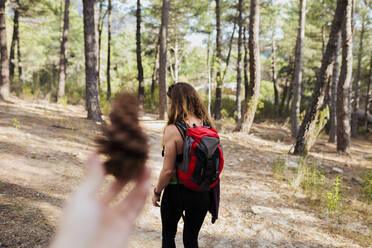 Woman holding pine cone with trekker standing in forest at La Pedriza, Madrid, Spain - MRRF00698