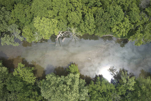 Drohnenansicht von Powell River, umgeben von grünen Waldbäumen - BCDF00574