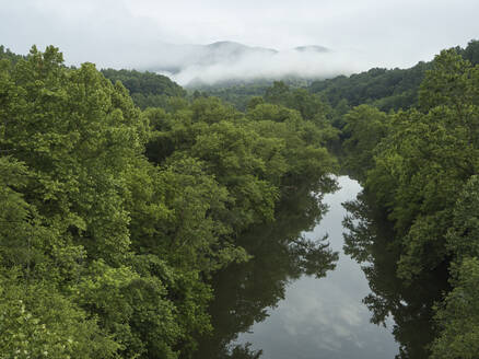 Drohnenansicht des Cumberland River, umgeben von grünem, üppigem Wald - BCDF00576