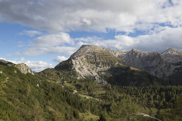 Blick auf ein bewaldetes Tal am Fuße des Schneibsteins - ZCF01010