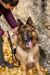 Mann legt seinem Hund die Leine um den Hals und sitzt an einer Mauer im Park - OCMF01846