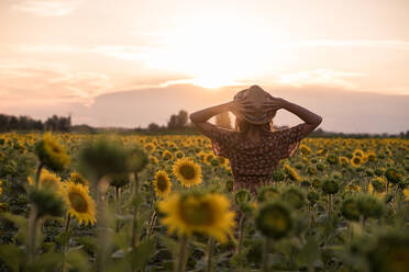 Rückenansicht einer nicht erkennbaren Frau mit Hut, die mit erhobenen Armen zwischen blühenden Sonnenblumen steht und die Freiheit am Sommerabend auf einem Feld genießt - ADSF17495