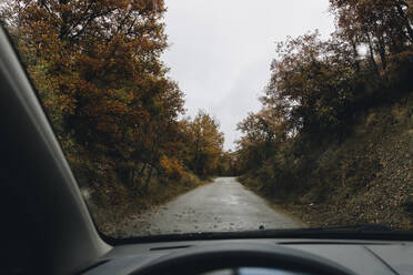 Country road surrounded with trees in Autumn seen from car - ACPF00883
