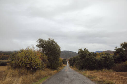 Landstraße umgeben von Feldern im Herbst - ACPF00884