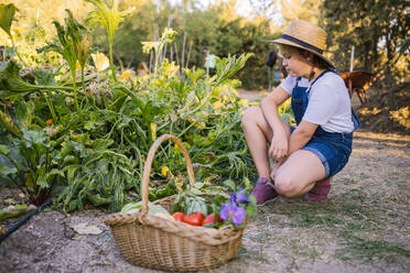 Weidenkorb voll von verschiedenen reifen Gemüse und duftenden Blumen im Garten auf unscharfen Hintergrund von Mädchen in Strohhut platziert - ADSF17519