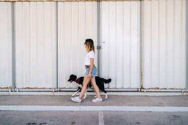 Full body side view of young female in casual outfit walking with big dog near metal wall of urban building - ADSF17587