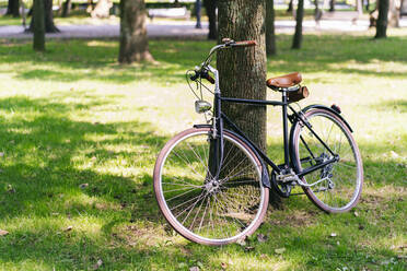 Auf einer Wiese in einem öffentlichen Park abgestelltes Fahrrad - DGOF01662
