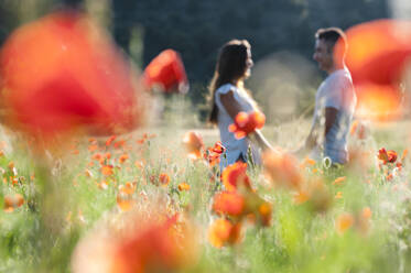 Junges romantisches Paar in einem Feld mit Mohnblumen im Frühling stehend - JMPF00589