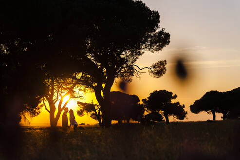 Romantisches junges Paar, das an einem Baum auf einem landwirtschaftlichen Feld gegen den Himmel bei Sonnenuntergang steht - JMPF00601