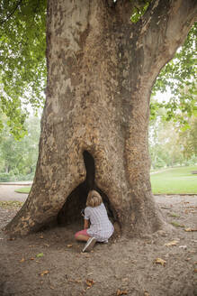 Junge betrachtet die hohle Öffnung eines Baumstamms im Park - AJOF00578
