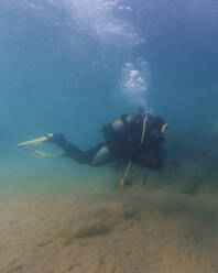 Divers exploring sea floor - RSGF00422