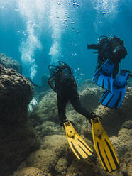 Divers swimming in sea - RSGF00430