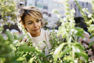 Mature woman looking at flowering plant while standing at rooftop garden - JRFF04923