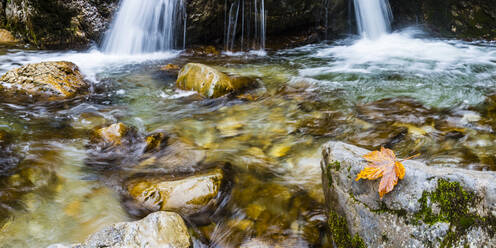 Wasserfall und Bach im Herbst - WGF01376