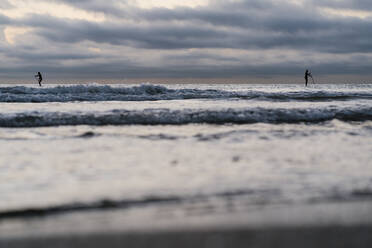 Silhouette friends paddleboarding on sea during dawn - EGAF01034