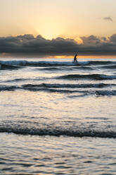 Silhouette man surfing with paddleboard on sea against sky during dawn - EGAF01041