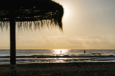 Freunde surfen mit Paddleboard auf dem Mittelmeer bei Sonnenaufgang - EGAF01064
