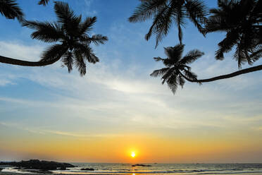 Gebogene Palmen bei Sonnenuntergang am schönen, unberührten Kizhunna-Strand, südlich von Kannur an der Nordküste des Bundesstaates, Kannur, Kerala, Indien, Asien - RHPLF17791