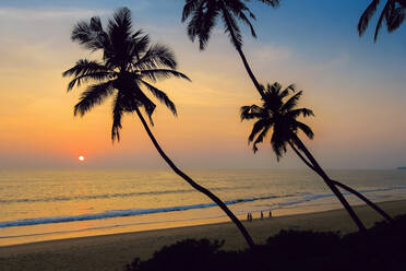 Gebogene Palmen bei Sonnenuntergang am schönen, unberührten Kizhunna-Strand, südlich von Kannur an der Nordküste des Bundesstaates, Kannur, Kerala, Indien, Asien - RHPLF17792