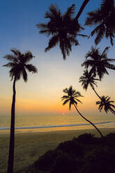 Gebogene Palmen bei Sonnenuntergang am schönen, unberührten Kizhunna-Strand, südlich von Kannur an der Nordküste des Bundesstaates, Kannur, Kerala, Indien, Asien - RHPLF17794