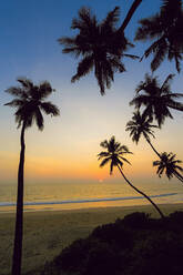 Leaning palm trees at sunset on lovely unspoilt Kizhunna Beach, south of Kannur on the state's North coast, Kannur, Kerala, India, Asia - RHPLF17794