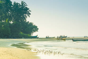 Fischer und Watvögel am schönen Kizhunna Beach, südlich von Kannur an der Nordküste Keralas, Kizhunna, Kannur, Kerala, Indien, Asien - RHPLF17798