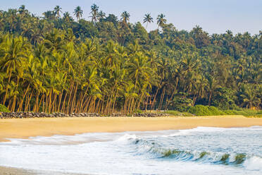 Schöner palmengesäumter Kizhunna Beach, südlich von Kannur an der Nordküste Keralas, Kannur, Kerala, Indien, Asien - RHPLF17801