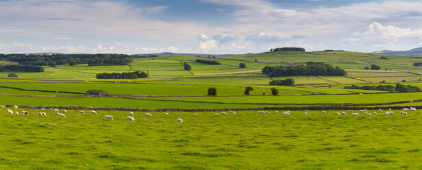 Blick auf Trockenmauern und Landschaft bei Litton, Peak District National Park, Derbyshire, England, Vereinigtes Königreich, Europa - RHPLF17812