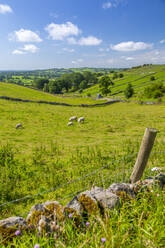 Blick auf Trockensteinmauern und Landschaft bei Brassington, Derbyshire Dales, Derbyshire, England, Vereinigtes Königreich, Europa - RHPLF17818