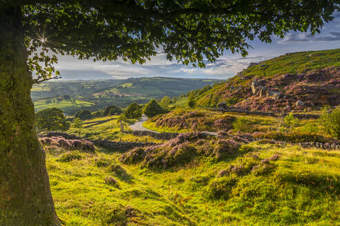 Blick auf Curbar Edge von Baslow Edge, Baslow, Peak District National Park, Derbyshire, England, Vereinigtes Königreich, Europa - RHPLF17825