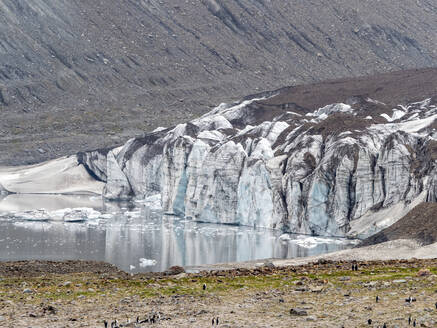 Gletscher und Schmelzwassersee in der St. Andrews Bay, Südgeorgien, Polarregionen - RHPLF17844