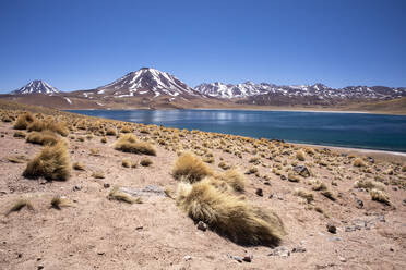 Laguna Miscanti, ein Brackwassersee auf einer Höhe von 4140 Metern in der zentralen Vulkanzone der Anden, Chile, Südamerika - RHPLF17871