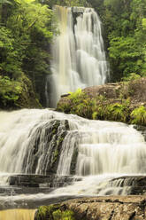 McLean Falls, McLean Falls Walk, The Catlins, Otago, Südinsel, Neuseeland, Pazifik - RHPLF17916