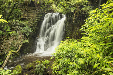 Horseshoe Falls, Matai Stream, Matai Falls Walk, The Catlins, Südinsel, Neuseeland, Pazifik - RHPLF17917