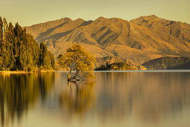 Lake Wanaka at sunrise, Mount-Aspiring National Park, UNESCO World Heritage Site, Otago, South Island, New Zealand, Pacific - RHPLF17925