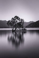 Lake Wanaka, Blaue Stunde, Mount-Aspiring-Nationalpark, UNESCO-Weltkulturerbe, Otago, Südinsel, Neuseeland, Pazifik - RHPLF17928