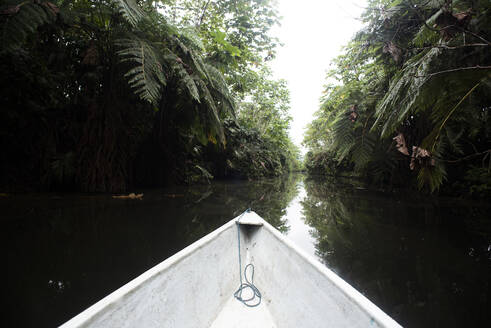 Weißer Schiffsbug auf dem Napo-Fluss inmitten von Bäumen, Ecuador - DSIF00196