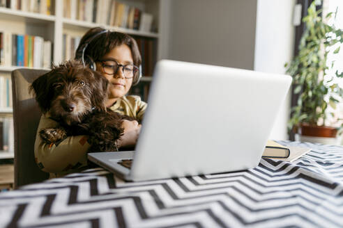 Junge, der seinen Hund hält, während er zu Hause am Laptop e-Learning betreibt - VABF04071