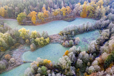 Drohnenansicht von türkisfarbenen Grasflecken im Herbstwald in der Morgendämmerung - STSF02668