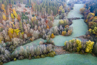 Drohnenansicht von türkisfarbenen Grasflecken im Herbstwald in der Morgendämmerung - STSF02671