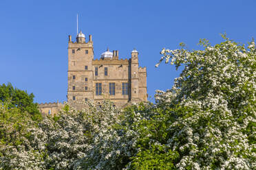 Ansicht von Bolsover Castle, Bolsover, Derbyshire, England, Vereinigtes Königreich, Europa - RHPLF18038