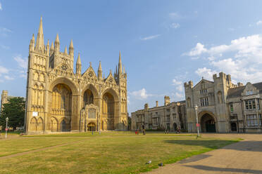 Blick auf die gotische Fassade der Kathedrale von Peterborough vom Dean's Court aus, Peterborough, Northamptonshire, England, Vereinigtes Königreich, Europa - RHPLF18047