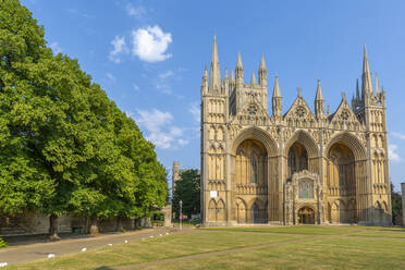 Blick auf die gotische Fassade der Kathedrale von Peterborough vom Dean's Court aus, Peterborough, Northamptonshire, England, Vereinigtes Königreich, Europa - RHPLF18048