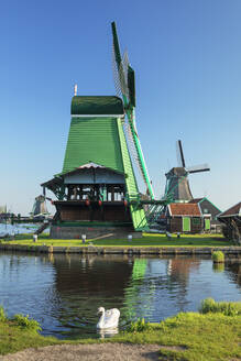 Windmühlen, Freilichtmuseum, Zaanse Schans, Zaandam, Nordholland, Niederlande, Europa - RHPLF18083